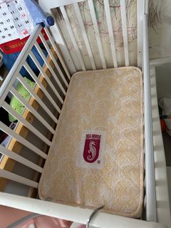 （分類：）位於 。 由 krystalam013859 提交（商品編號 1456352007，圖片 1）。簡介： 。