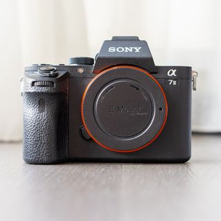 Sony E and FE Cameras and Lenses Collection item 3