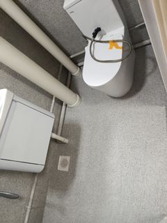 (Category: ) located in . Submitted by paintingflooringservice01 (Listing ID 1423420211, Image 1). Description: .