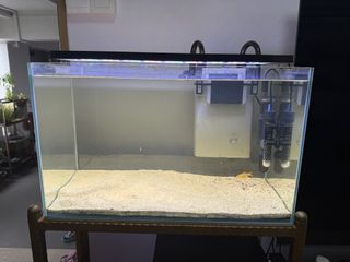 (Category: ) located in . Submitted by raymondhome (Listing ID 1456519411, Image 1). Description: .