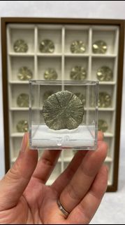 （分類：）位於 。 由 js_minerals_collection 提交（商品編號 1456526752，圖片 1）。簡介： 。