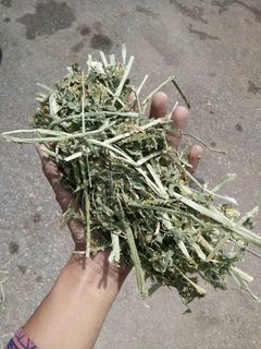 (Category: ) located in . Submitted by herodapur (Listing ID 1456596816, Image 1). Description: .