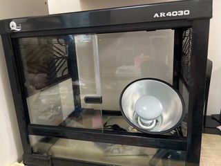（分類：）位於 。 由 bravebird.716390 提交（商品編號 1456515397，圖片 1）。簡介： 。