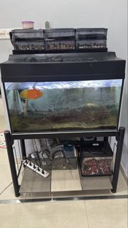 (Category: ) located in . Submitted by cyc26 (Listing ID 1456455655, Image 1). Description: .