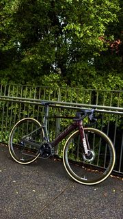 (Category: ) located in . Submitted by cabbage_bikes (Listing ID 1454052038, Image 1). Description: .