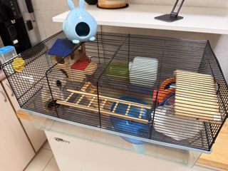 (Category: ) located in . Submitted by iwannagetridofmystuffs (Listing ID 1456443637, Image 1). Description: .