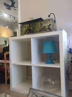 (Category: ) located in . Submitted by qeelsss (Listing ID 1456424195, Image 1). Description: .
