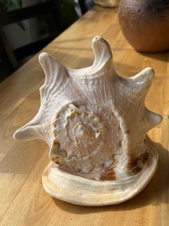 (Category: ) located in . Submitted by earthvessel (Listing ID 1456453626, Image 1). Description: .
