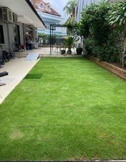 (Category: ) located in . Submitted by lawnnorder (Listing ID 1456434523, Image 1). Description: .