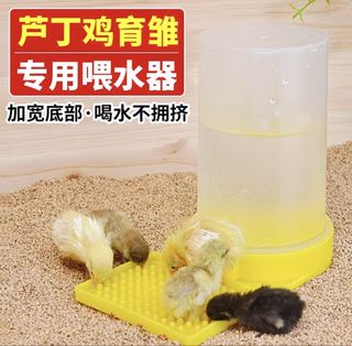 (Category: ) located in . Submitted by syrianpetstore (Listing ID 1456588464, Image 1). Description: .