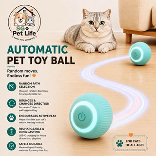 (Category: ) located in . Submitted by sg_pet_life (Listing ID 1456484897, Image 1). Description: .