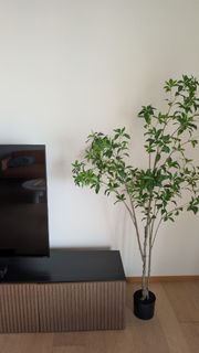 （分類：）位於 。 由 vigo00323 提交（商品編號 1456506964，圖片 1）。簡介： 。
