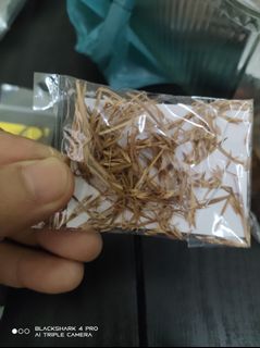 (Category: ) located in . Submitted by faiz92 (Listing ID 1453366223, Image 1). Description: .