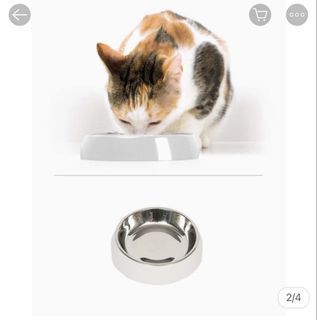 (Category: ) located in . Submitted by chloe-low (Listing ID 1453385982, Image 1). Description: .