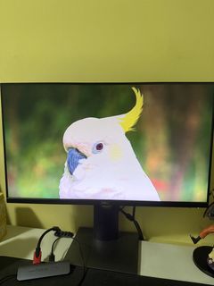 (Category: ) located in . Submitted by notkyle (Listing ID 1453255606, Image 1). Description: .