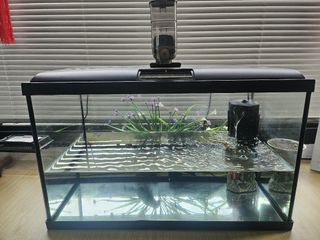 (Category: ) located in . Submitted by david_cao (Listing ID 1453274917, Image 1). Description: .