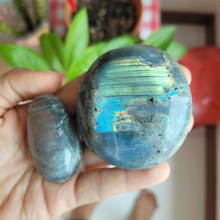 (Category: ) located in . Submitted by faeriestar (Listing ID 1453274944, Image 1). Description: .