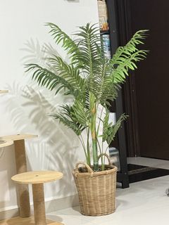 (Category: ) located in . Submitted by seller_aaa (Listing ID 1453353182, Image 1). Description: .