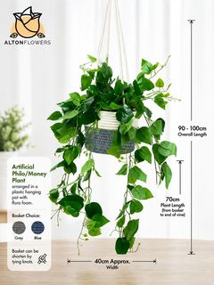(Category: ) located in . Submitted by altonflowerscomm (Listing ID 1453301778, Image 1). Description: .