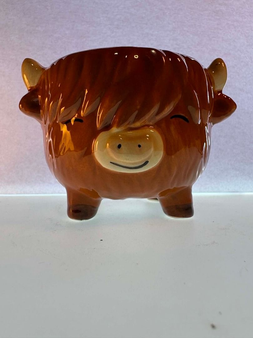 Sass & Belle Highland Cow Ceramic Holder (Category: Coffee & Tea Tableware) located in Caloocan City. Submitted by rabbithole2026 (Listing ID 1453376843, Image 3). Description: Adorable ceramic holder featuring a smiling Highland cow with shaggy orange-brown hair, little horns, and cute sculpted feet. Perfect as a planter, pen holder, desk organizer, makeup brush holder, or decorative accent. Features: Brand: Sass & Belle Highland cow design Glos