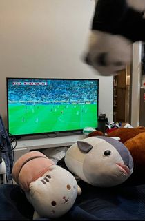 （分類：）位於 。 由 anainggol3 提交（商品編號 1453385656，圖片 1）。簡介： 。