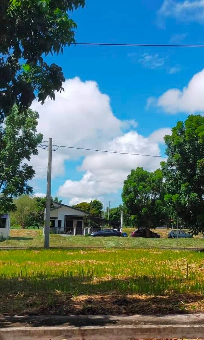 Affordable lot in Calamba Laguna (Category: Lot) located in Manila. Submitted by alvin_legal74 (Listing ID 1434615777, Image 1). Description: Live in a quiet and serene community in the South. Breathe the fresh air and enjoy the basking view of Makiling or the amenities for your family. Price per sqm - P 20,500 Terms 30% Downpayment - P 793,350 Reservation - P 20,000 Net DP - P 773,500 70% Balance - P 1,851,150 Via In-house 5 year amortization 1s