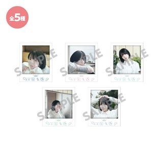 （分類：）位於 。 由 samsepi0l 提交（商品編號 1456591648，圖片 1）。簡介： 。