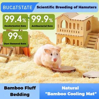 (Category: ) located in . Submitted by cocoliving (Listing ID 1456638268, Image 1). Description: .