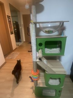 (Category: ) located in . Submitted by pu34mira (Listing ID 1456710144, Image 1). Description: .