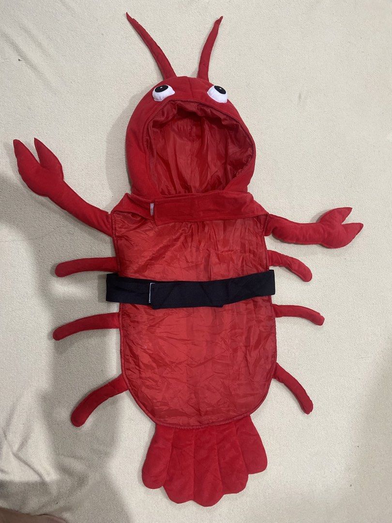 Dog clothes/ lobster (Category: Homes & Other Pet Accessories) located in Tanza. Submitted by 9th.street.thrift (Listing ID 1456729376, Image 1). Description: Dog costume Unique From US Size dimesion in photo.