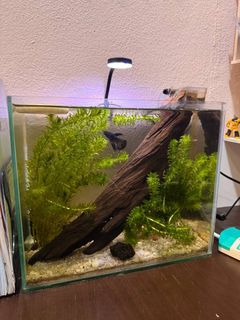 (Category: ) located in . Submitted by m1132511942802 (Listing ID 1456738115, Image 1). Description: .