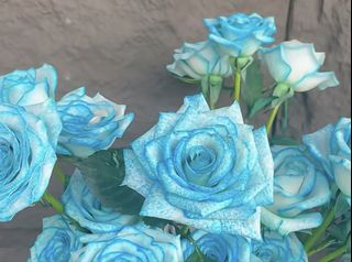 (Category: ) located in . Submitted by anzoeflorist (Listing ID 1456656761, Image 1). Description: .