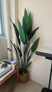 (Category: ) located in . Submitted by byhalh (Listing ID 1456616212, Image 1). Description: .