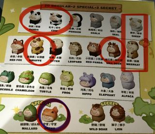（分類：）位於 。 由 mmmmrang 提交（商品編號 1456637805，圖片 1）。簡介： 。
