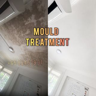 Mould Treatment Service in SG Collection item 2