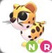(Category: ) located in . Submitted by adoptmeprincess (Listing ID 1456621812, Image 1). Description: .