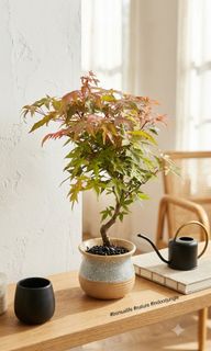 (Category: ) located in . Submitted by hongmeiliu06 (Listing ID 1456612851, Image 1). Description: .