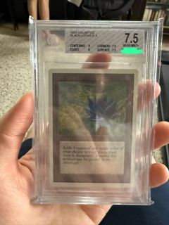 (Category: ) located in . Submitted by vetementsow (Listing ID 1456751385, Image 1). Description: .