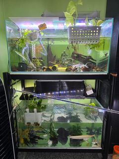 (Category: ) located in . Submitted by riderprofile (Listing ID 1456814274, Image 1). Description: .