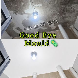 Mould Treatment Service in SG Collection item 1