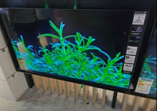 （分類：）位於 。 由 i.love.4k.tv 提交（商品編號 1442212897，圖片 1）。簡介： 。