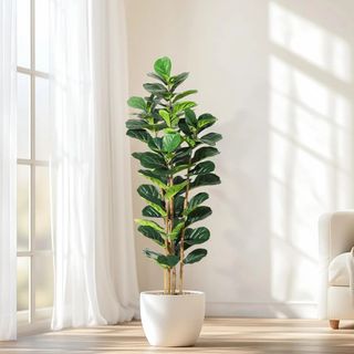（分類：）位於 。 由 hockhurki514149 提交（商品編號 1456825262，圖片 1）。簡介： 。