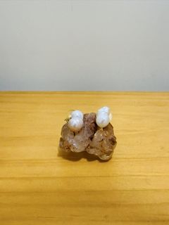 （分類：）位於 。 由 frenzybusy 提交（商品編號 1456828101，圖片 1）。簡介： 。