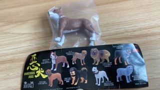 （分類：）位於 。 由 jenash0901 提交（商品編號 1456851306，圖片 1）。簡介： 。