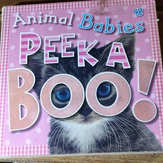 (Category: ) located in . Submitted by attrendsbookshelf (Listing ID 1456857047, Image 1). Description: .