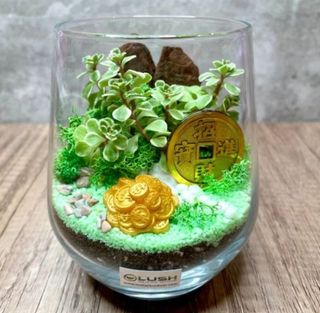 (Category: ) located in . Submitted by lushglassdoor (Listing ID 1456833862, Image 1). Description: .