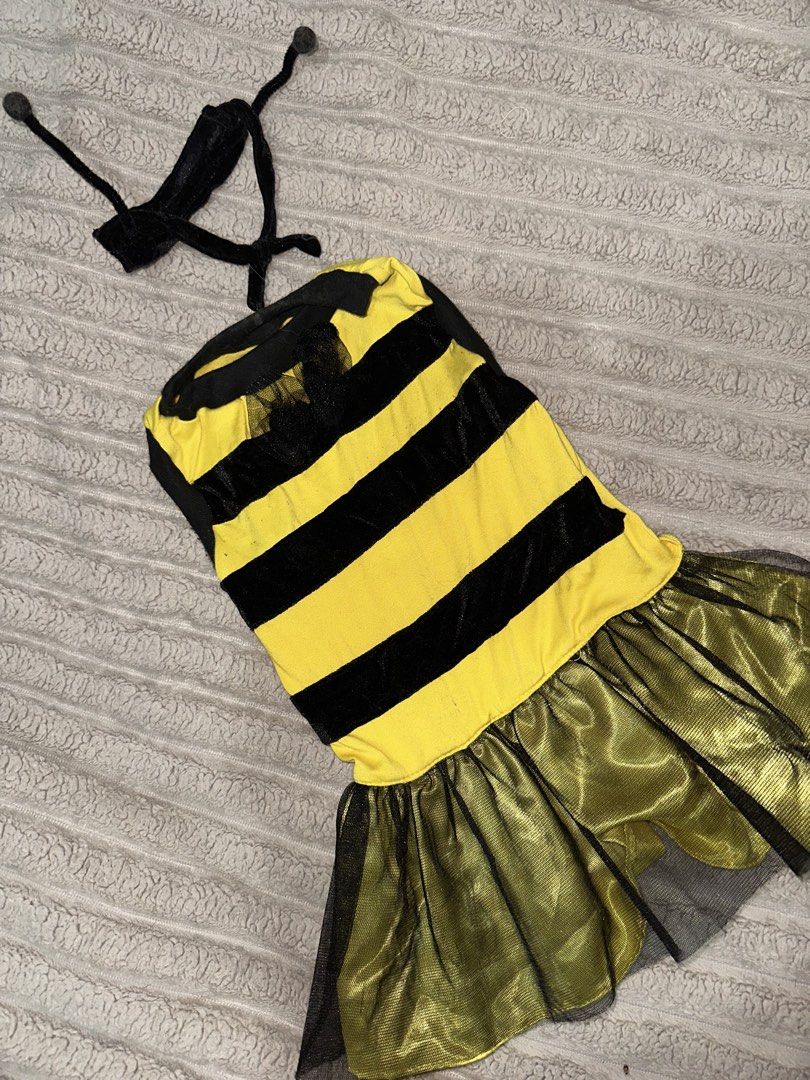 Bee Costume for Medium-Large Dogs (Category: Homes & Other Pet Accessories) located in Manila. Submitted by jassified.declutter (Listing ID 1456919799, Image 1). Description: USED ONCE by chow chow.