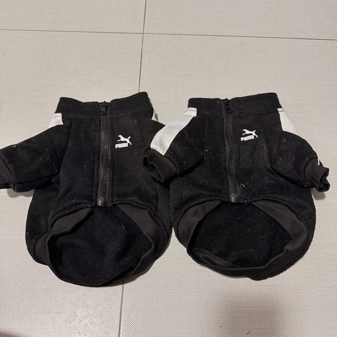 BUNDLE | 2 Pcs. Black Zippered Jacket for Pet Dogs / Cats (Category: Homes & Other Pet Accessories) located in Rizal. Submitted by lovedbyhannah (Listing ID 1456861333, Image 3). Description: .