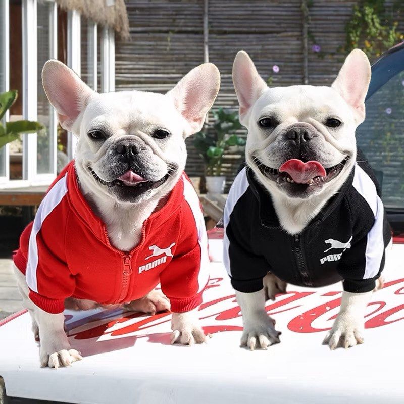 BUNDLE | 2 Pcs. Black Zippered Jacket for Pet Dogs / Cats (Category: Homes & Other Pet Accessories) located in Rizal. Submitted by lovedbyhannah (Listing ID 1456861333, Image 2). Description: .