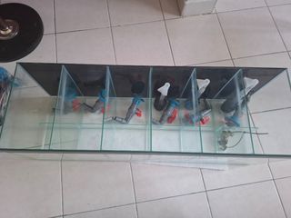 (Category: ) located in . Submitted by tenzen_aquatics (Listing ID 1456864912, Image 1). Description: .